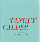 Imatge de portada local