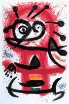 Imatge de portada local