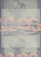 Imatge de portada local