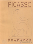 Imatge de portada local