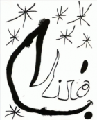 Imatge de portada local