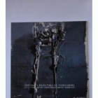 Imatge de portada local